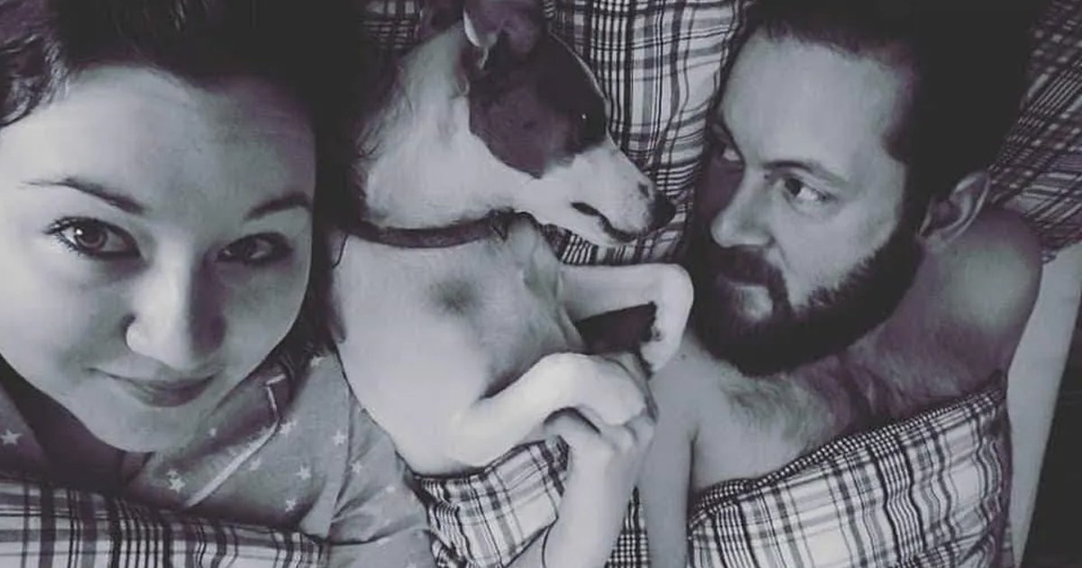 78.jpg?fit=1024%2C538&ssl=1&strip=all - A Heartbroken Pregnant Woman Is Mourning Over The Loss Of Her Beloved Rescue Dog Who Was Mauled By A German Shepherd Cross