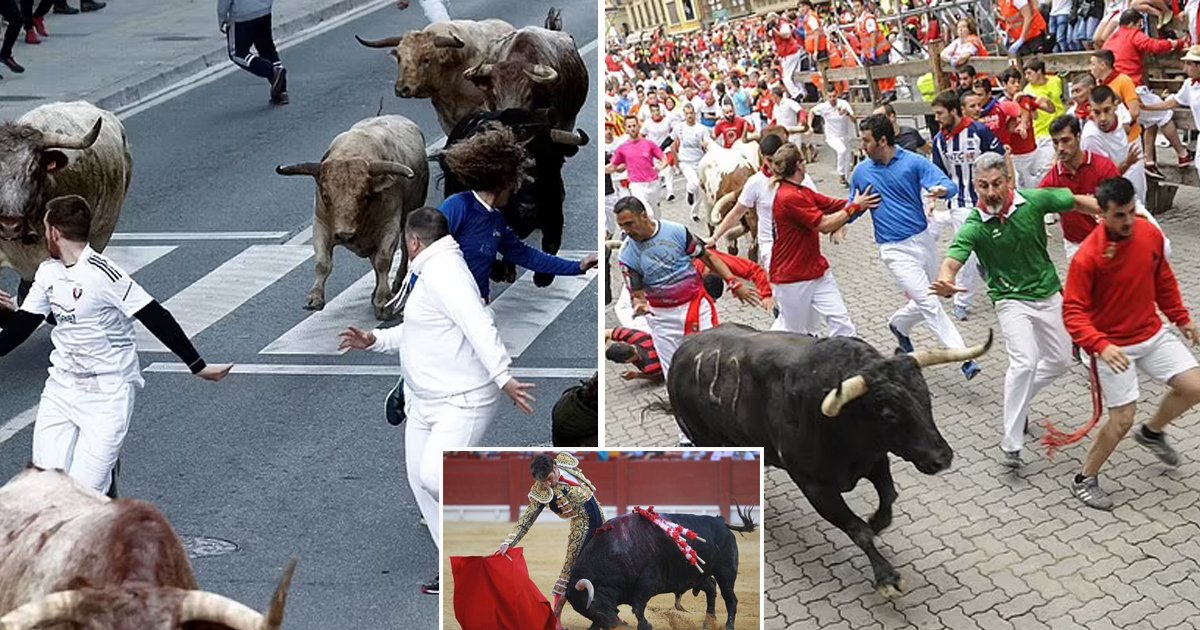 98.jpg?resize=412,275 - A 55-Year-Old Man Lost His Life At The Annual Bull-Running Festival When A FURIOUS Bull Attacked Him