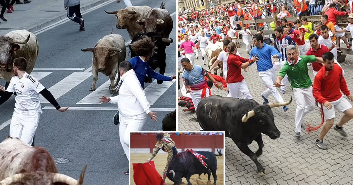 98.jpg?fit=1024%2C538&ssl=1&strip=all - A 55-Year-Old Man Lost His Life At The Annual Bull-Running Festival When A FURIOUS Bull Attacked Him
