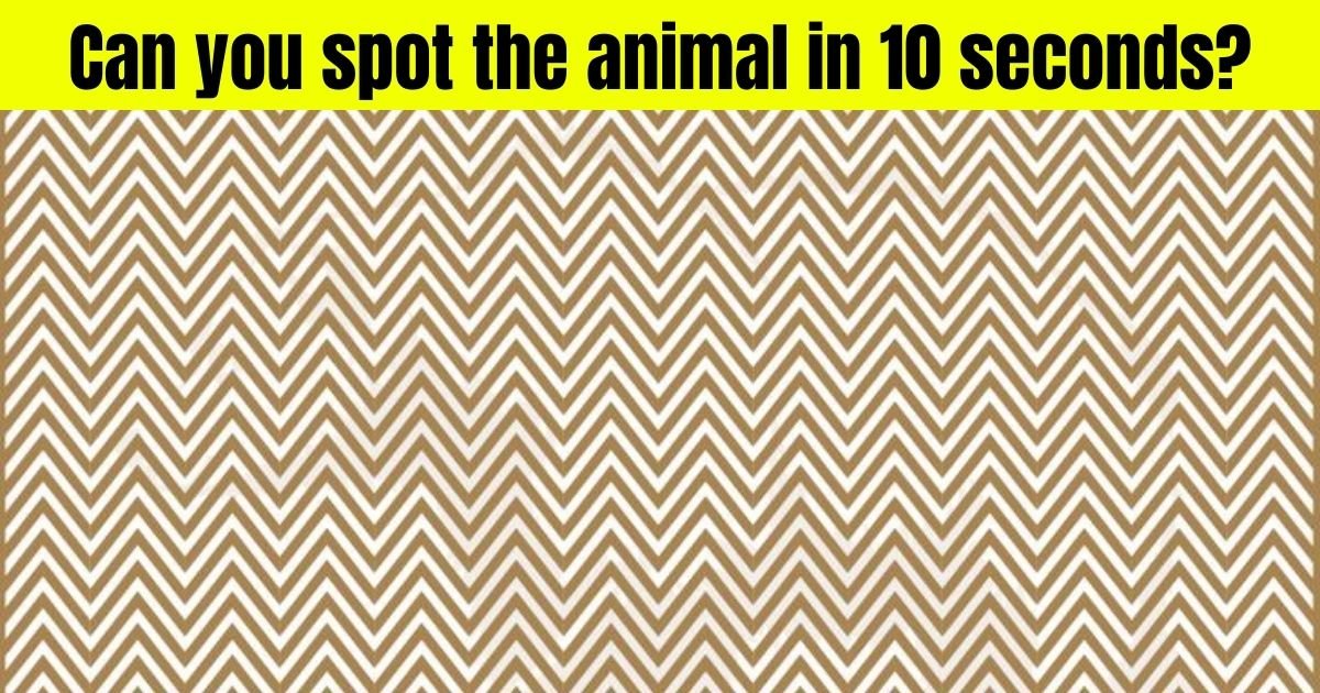 bear4 1.jpg?resize=412,232 - There Is A HUGE Animal Hiding In This Picture! Can You Spot It?