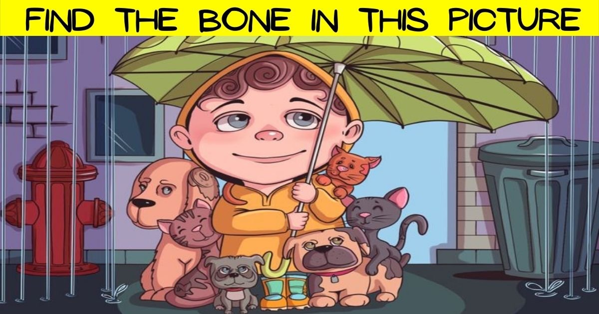 bone3.jpg?resize=412,232 - 90% Of People Can't Find The BONE In This Picture Of A Kid With Stray Animals! Can You Spot It?