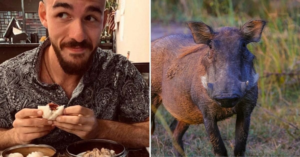 brian2.jpg?fit=1024%2C538&ssl=1&strip=all - Gabby Petito's Fiancé Brian Laundrie Was 'Eaten By Wild Pigs And Alligators' In Park Where His Remains Were Found, Locals Have Claimed