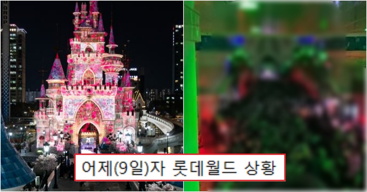 collage 171.jpg?resize=412,275 - "황금연휴이니까 놀러가야지"..어제(9일)자 롯데월드 상황(+사진)