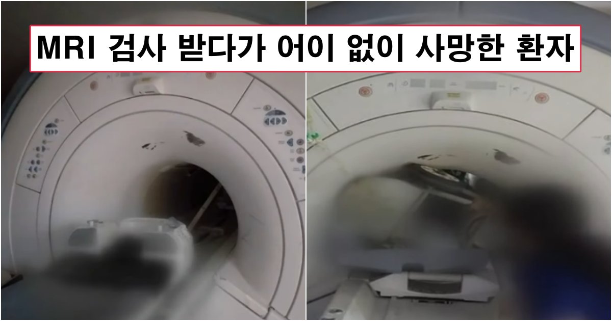 collage 173.png?resize=1200,630 - 바로 어제 일어난 올해 한국에서 가장 어이없는 사고로 병원에서 사망한 환자