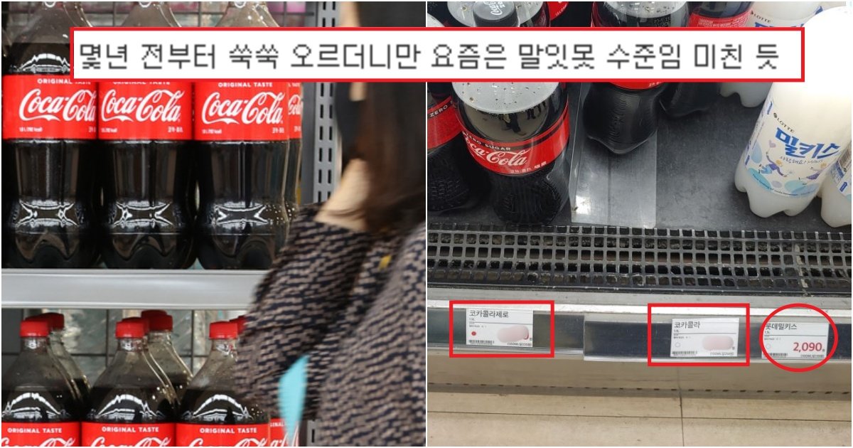 collage 255.jpg?resize=412,232 - 현시각 코카콜라 가격이 '일본보다 2배가 비싸'..미쳐버린 한국의 코카콜라 가격