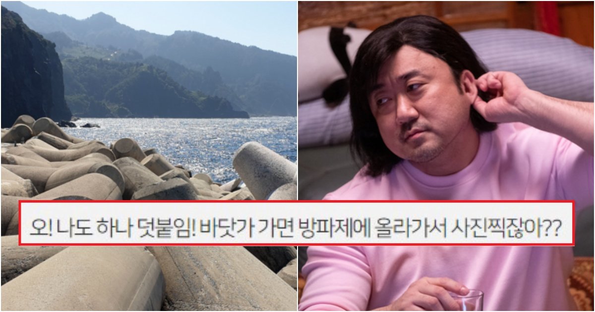 collage 263.jpg?resize=412,275 - "와 나 여기서 진심 1개도 몰랐어"..사람들이 정말 잘 모를 법한 비밀들(+사진)