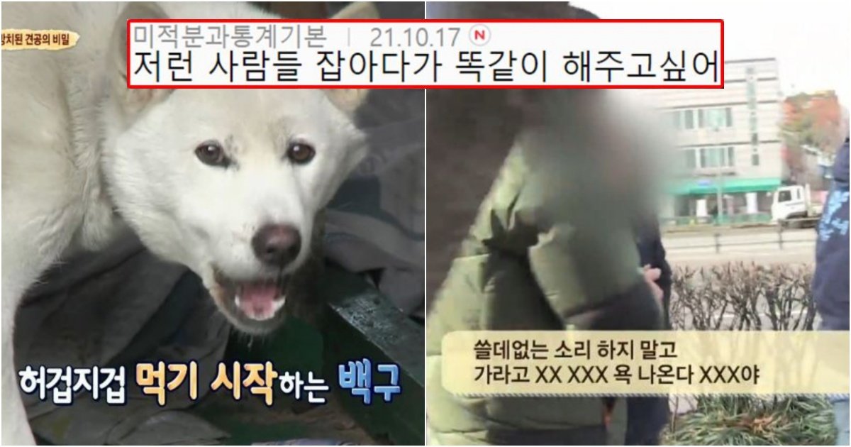 collage 349.jpg?resize=412,232 - 동물농장 방송 중 가장 열받고 인류애 삭제된다고 뽑히는 덕구 사건
