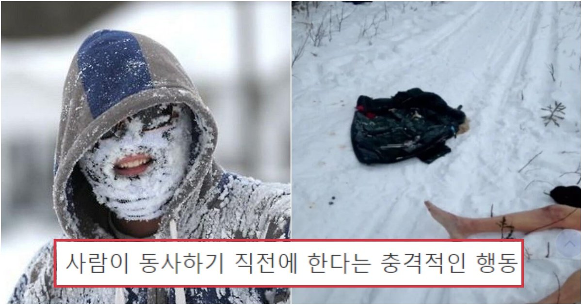 collage 413.jpg?resize=412,275 - 우리가 상상하는 것과 정반대인, 사람이 '동사'하기 직전에 한다는 충격적인 행동(+사진)