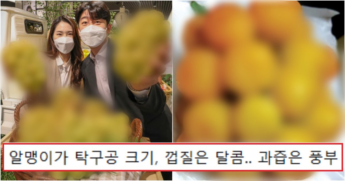 collage 578.jpg?resize=412,275 - 샤인머스켓 다음으로 신도시맘들 사이에서 지금 난리 나서 구하기 힘든 '인싸 포도'