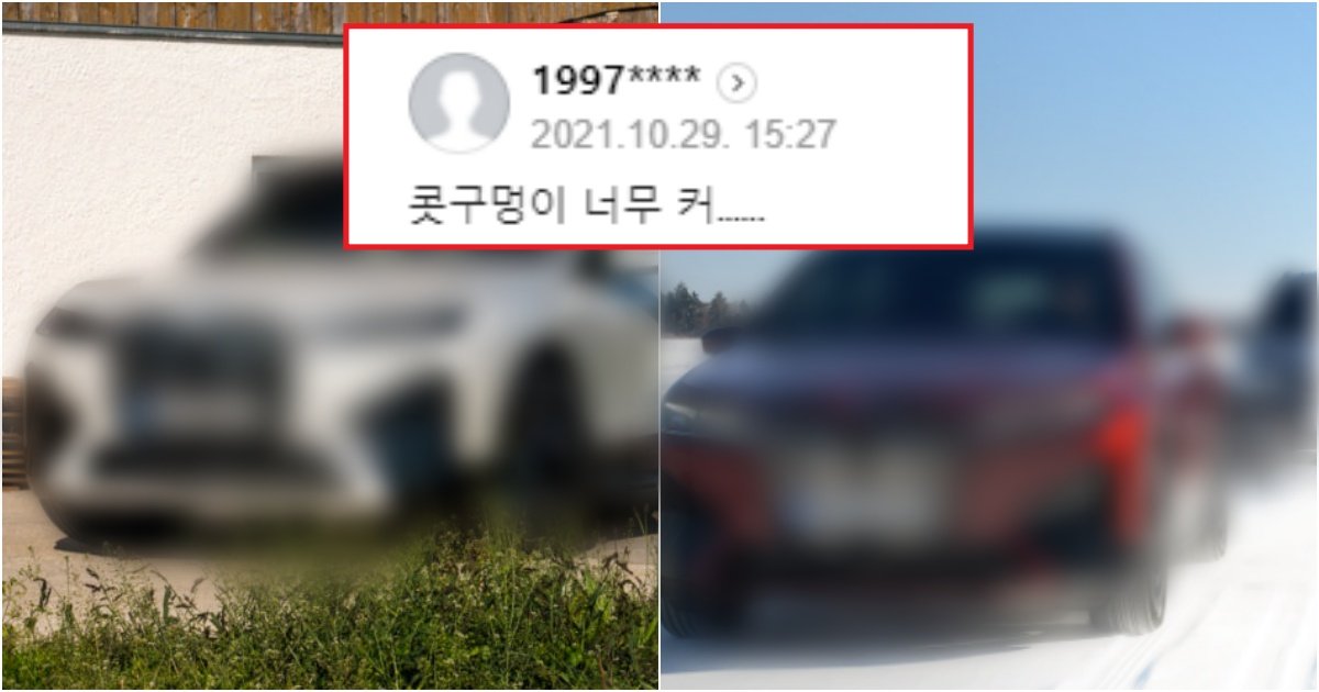 collage 588.jpg?resize=412,275 - BMW에서 새로운 얼굴로 11월에 나올 순수 전기차 'iX·iX3' 출시(+사진)