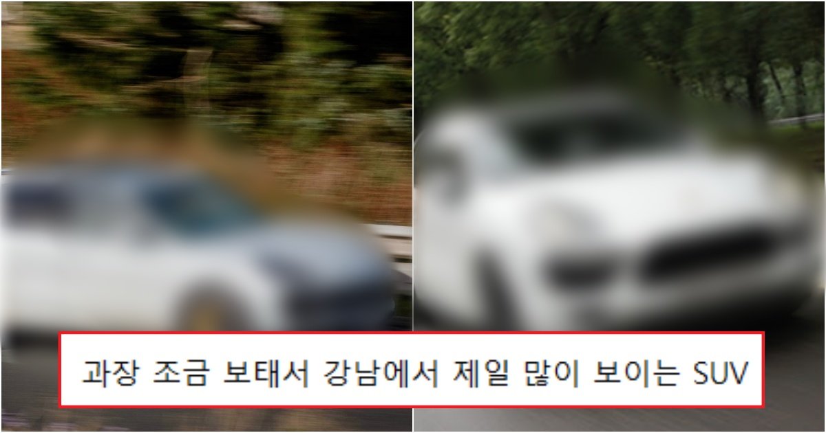 collage 88.jpg?resize=1200,630 - "5분에 한대 꼴로 보이는 강남 쏘나타임ㅋㅋ"..강남에서 가장 많이 보이는 SUV