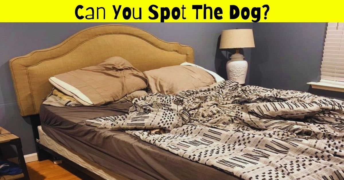 dog4 1.jpg?resize=1200,630 - Can You Spot The Dog Hiding In This Picture? 9 Out Of 10 People Fail To Find The Adorable Pooch!