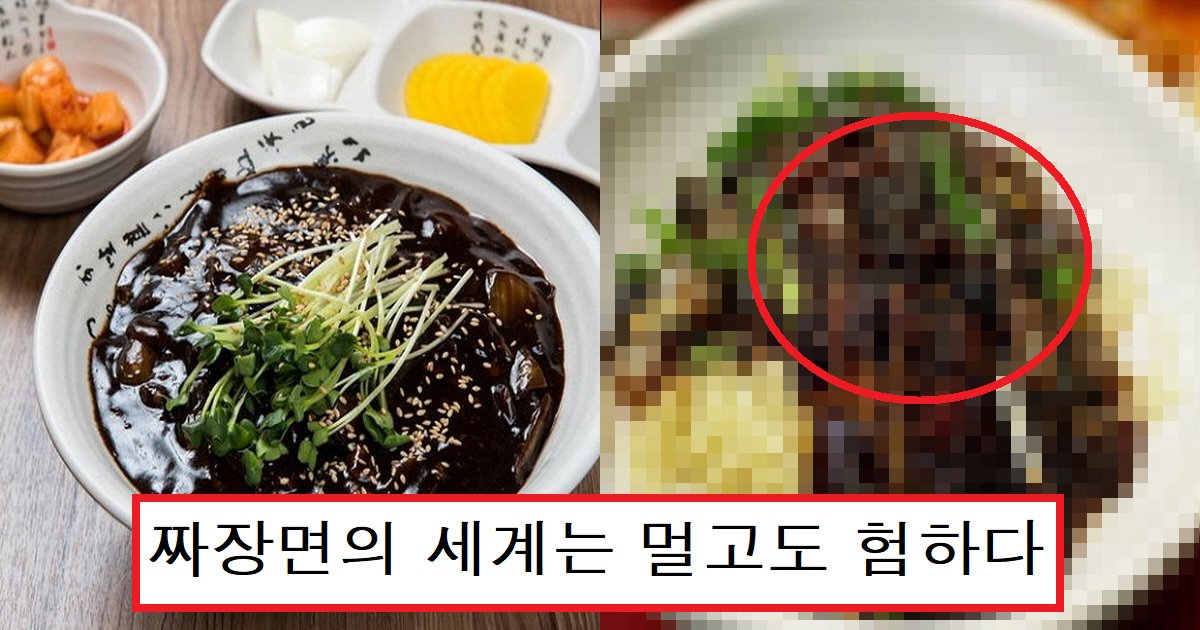 eca79cec9ea5eba9b4 ec8db8.png?resize=412,275 - "여러분이 먹는 짜장면은 아무것도 아닙니다"... 당신이 몰랐던 짜장면의 종류