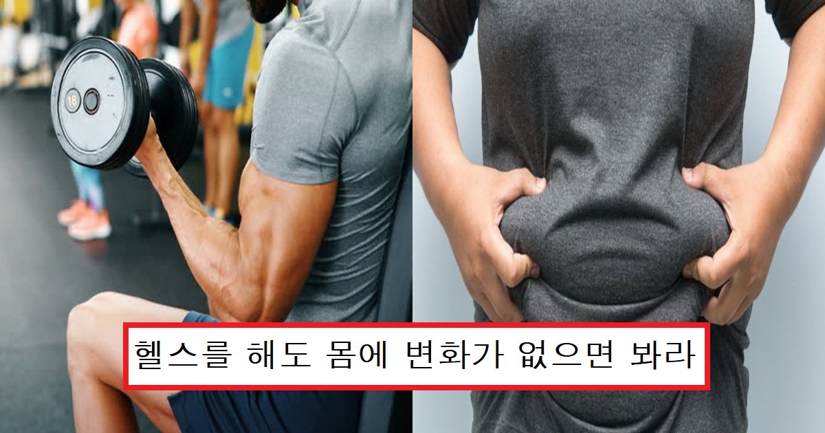 ed97acec8aa4ec8db8.png?resize=412,275 - "헬스 8년 차가 알려드립니다"... 헬스를 3년 넘게 해도 몸에 변화를 못 느끼는 이유