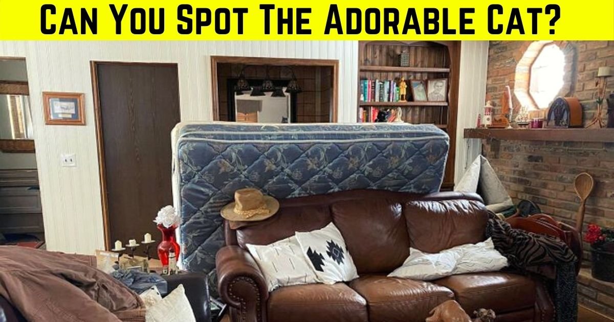 feline4.jpg?resize=1200,630 - 9 Out Of 10 Viewers Fail To Find The CAT Hiding In This Photo Of A Living Room! But Can You Spot It?