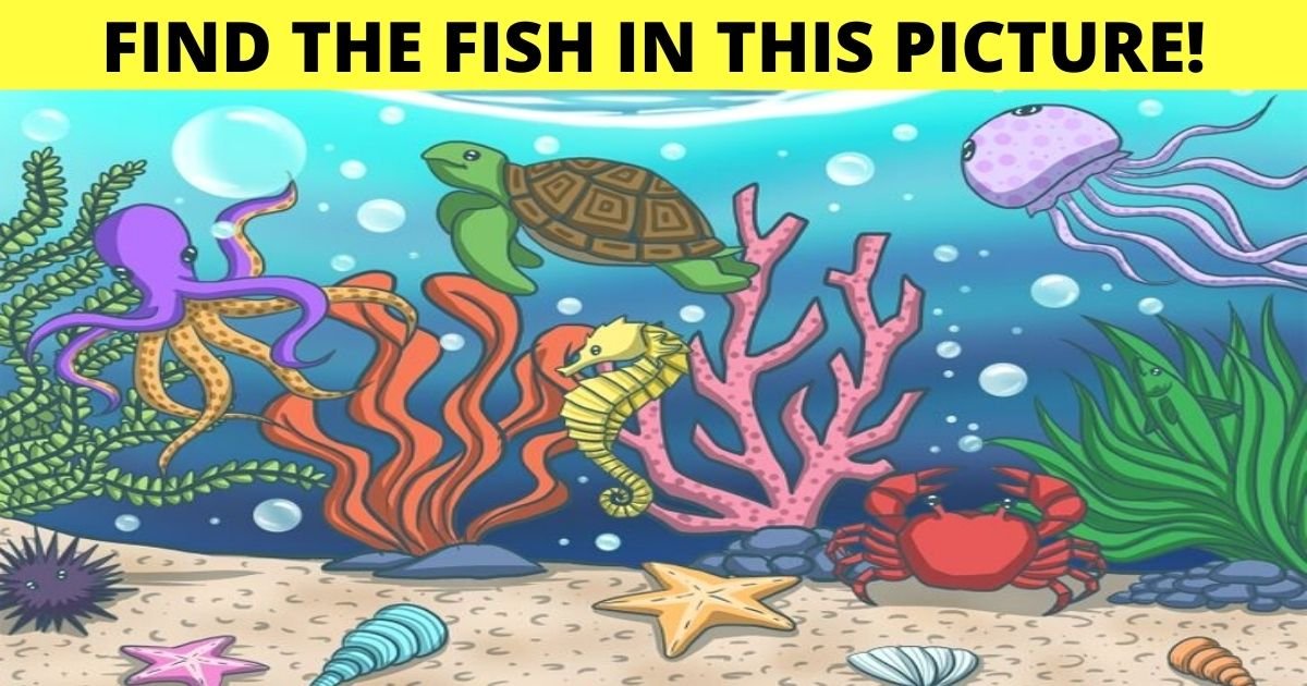 find the fish in this picture.jpg?resize=412,275 - 90% Of Viewers Can't Spot The FISH In This Image! But Can You Find It?