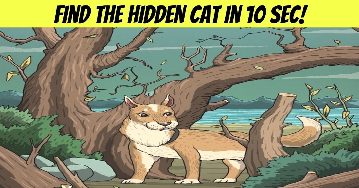 find the hidden cat in 10 sec.jpg?resize=412,275 - 90% Of People Can't See The Cat In This Image - But Can You Spot It?