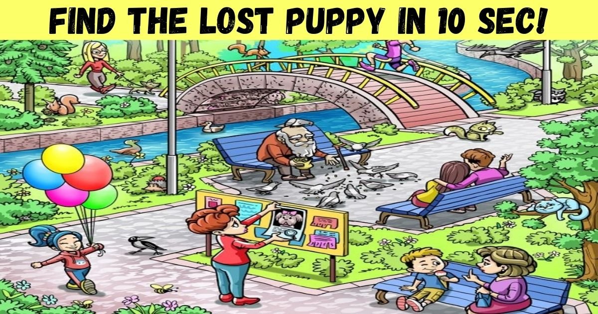 find the lost puppy in 10 sec.jpg?resize=1200,630 - How Fast Can You Spot The Lost Puppy? Help The Woman Find Her Beloved Pooch!