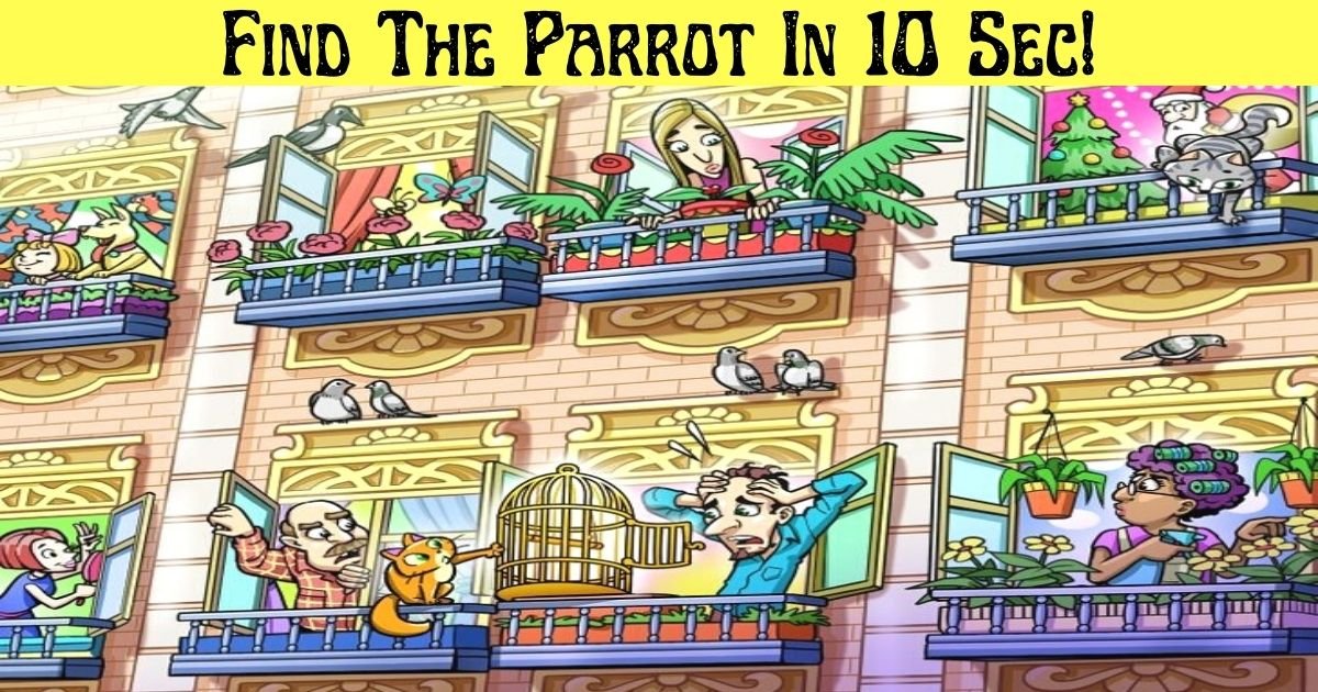 find the parrot in 10 sec.jpg?resize=412,275 - Find The Missing Parrot In 10 Seconds! 90% Of Viewers Couldn't Spot The Colorful Bird!