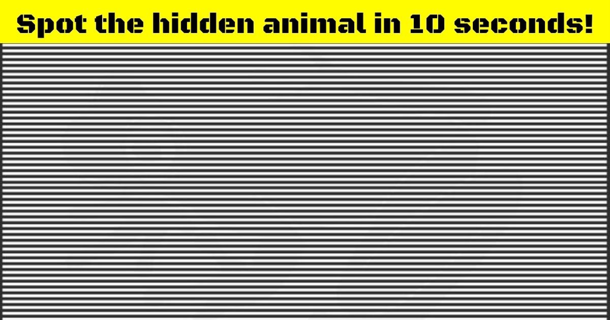 frog4.jpg?resize=1200,630 - Can You Spot The Hidden Animal In This Picture?