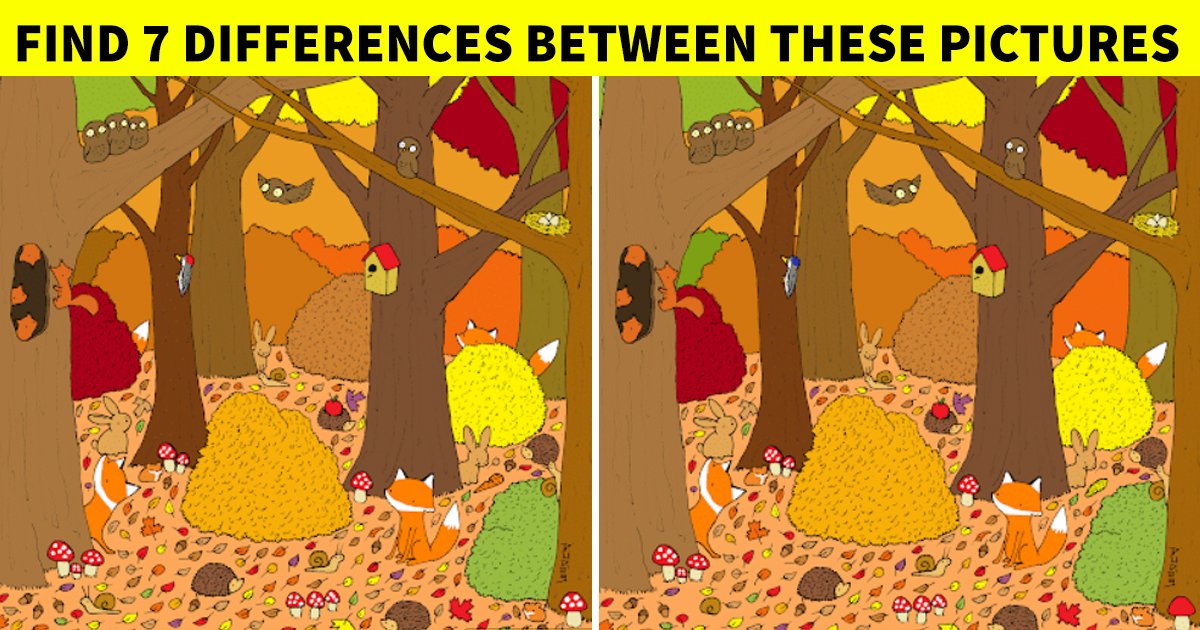 q6.jpg?resize=412,232 - How Quickly Can You Spot The Differences In This Tricky Visual Challenge?