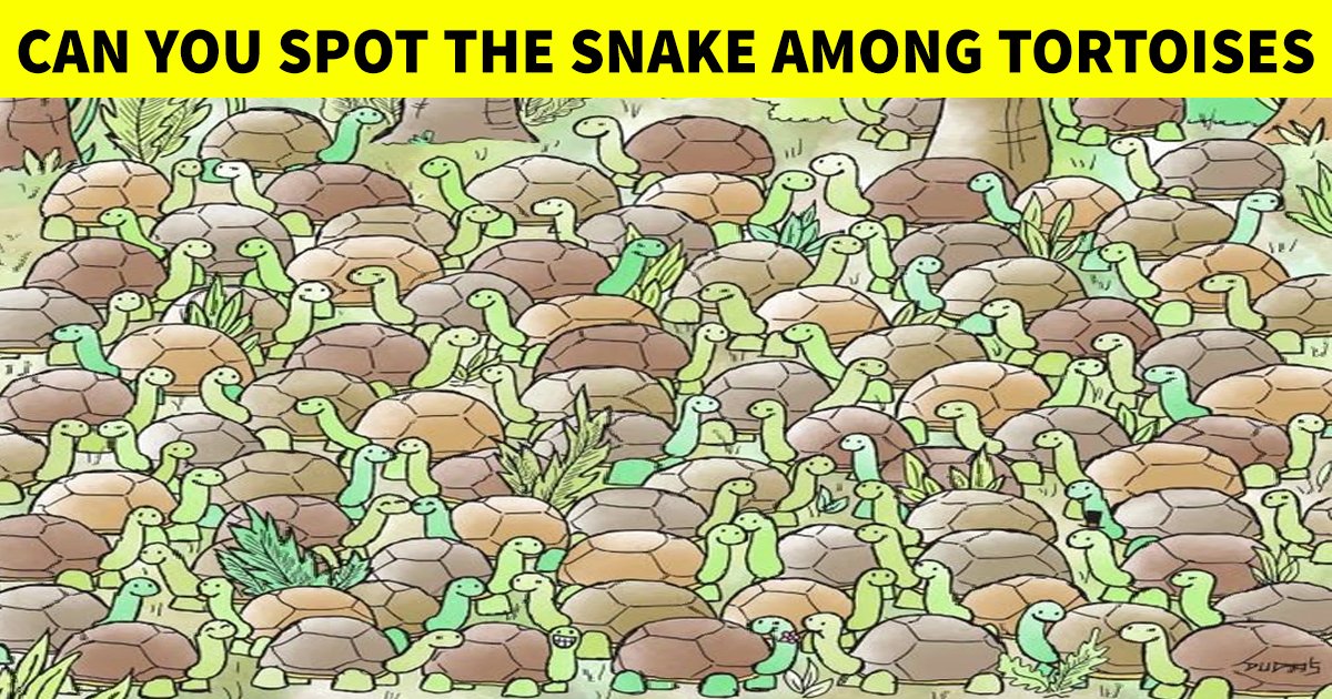 q8 6.jpg?resize=1200,630 - How Fast Can You Spot The Slithering Snake Among The Tortoises?