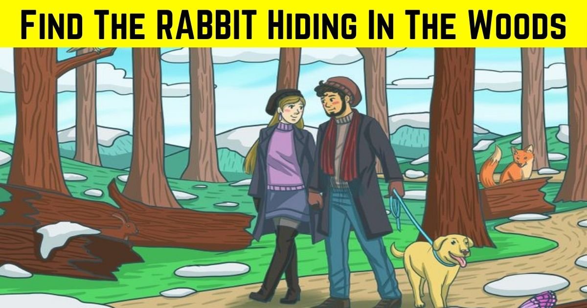 rabbit4.jpg?resize=412,275 - 90% Of Viewers Can't Spot The RABBIT In This Picture! But Can You Find It?