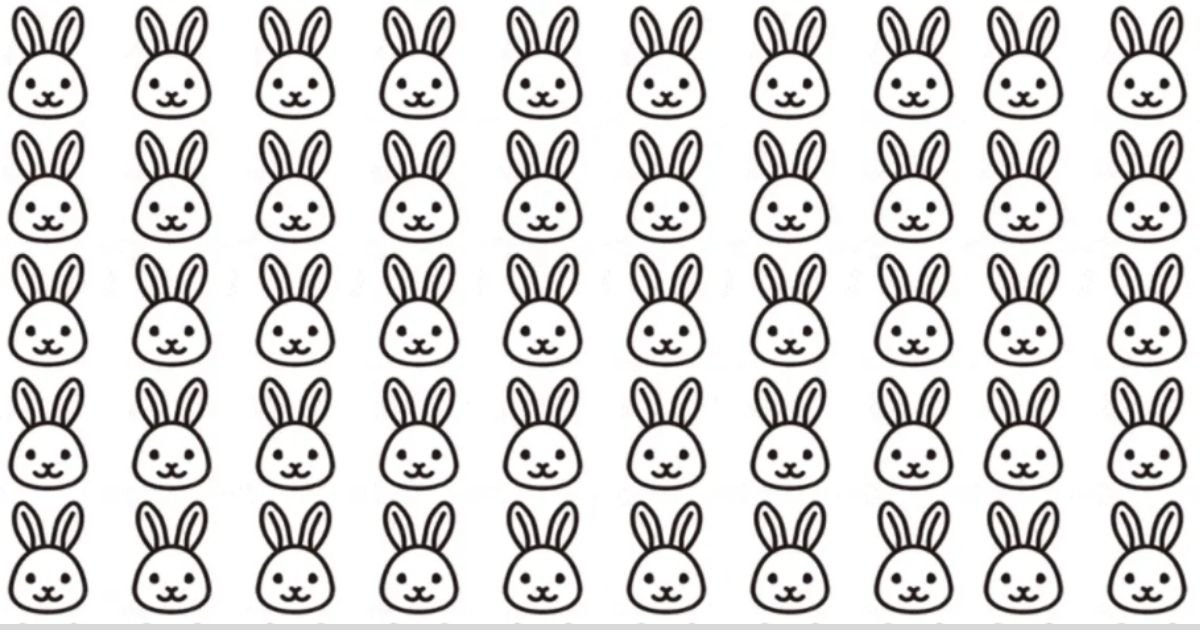 smalljoys 20.jpg?resize=412,275 - There's A Frowning Bunny Among The Happy Ones, But Can You Spot It In Twenty Seconds?