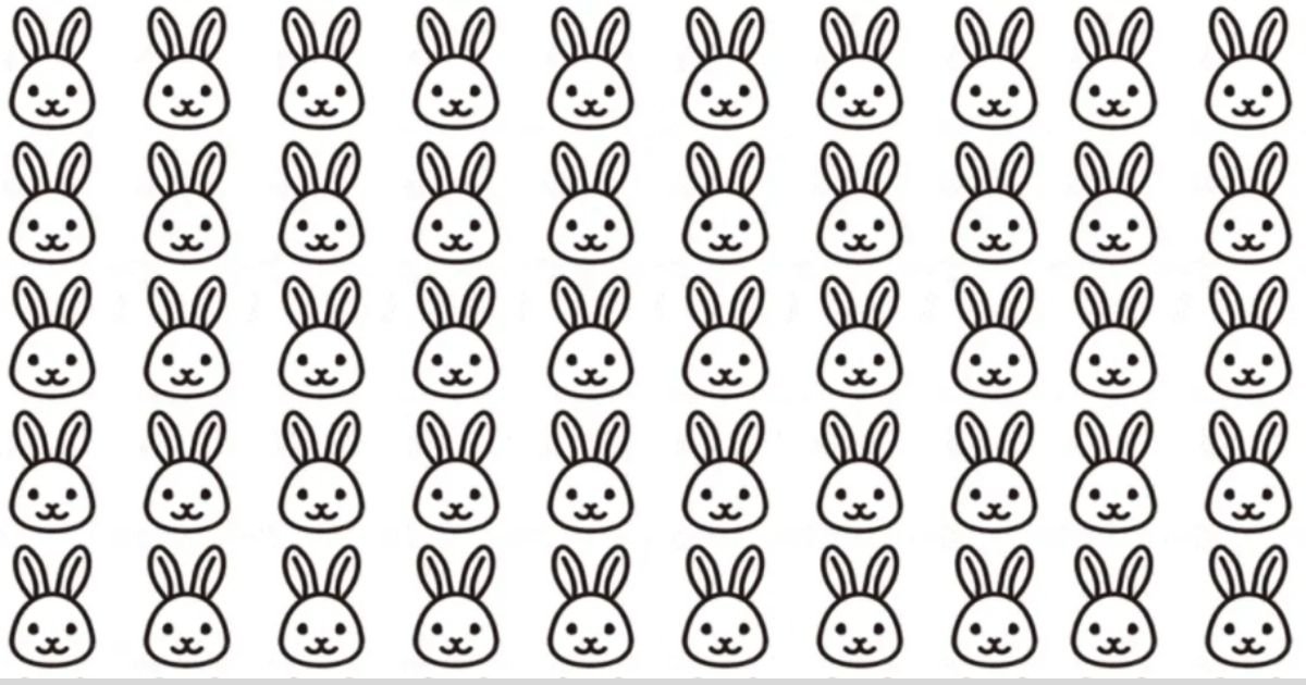 smalljoys 20.jpg?resize=412,232 - There's A Frowning Bunny Among The Happy Ones, But Can You Spot It In Twenty Seconds?