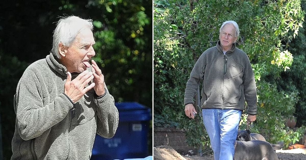 untitled design 47 1.jpg?resize=1200,630 - NCIS Legend Mark Harmon Is Seen In High Spirits For The First Time Since Retiring As Special Agent Gibbs