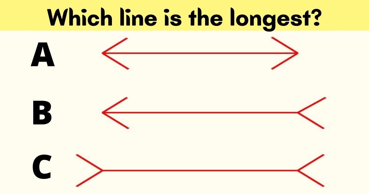 which line is the longest.jpg?resize=1200,630 - Can You Figure Out Which Of These Lines Is The Longest In 10 Seconds?