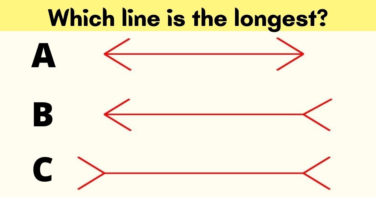 which line is the longest.jpg?resize=412,275 - Can You Figure Out Which Of These Lines Is The Longest In 10 Seconds?