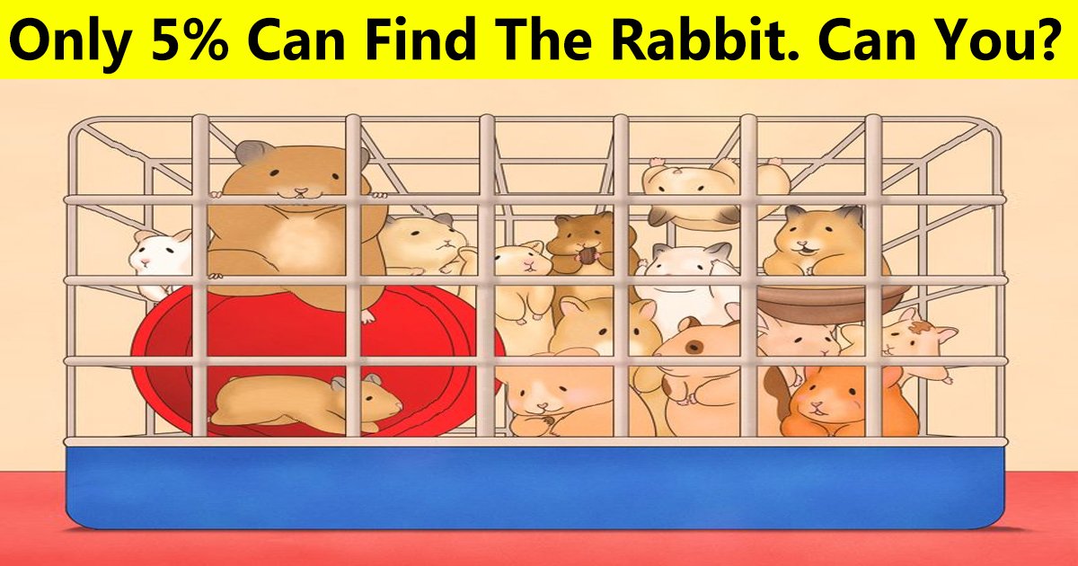 36.jpg?resize=412,232 - Only 5% Of Viewers Can Spot The Rabbit In The Picture! What About You?