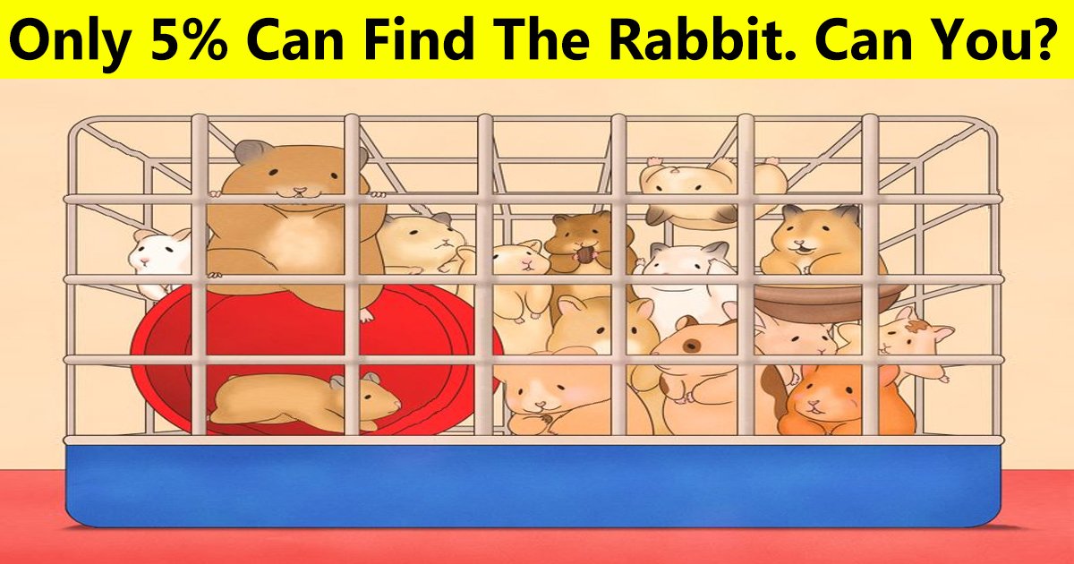 36.jpg?resize=412,275 - Only 5% Of Viewers Can Spot The Rabbit In The Picture! What About You?