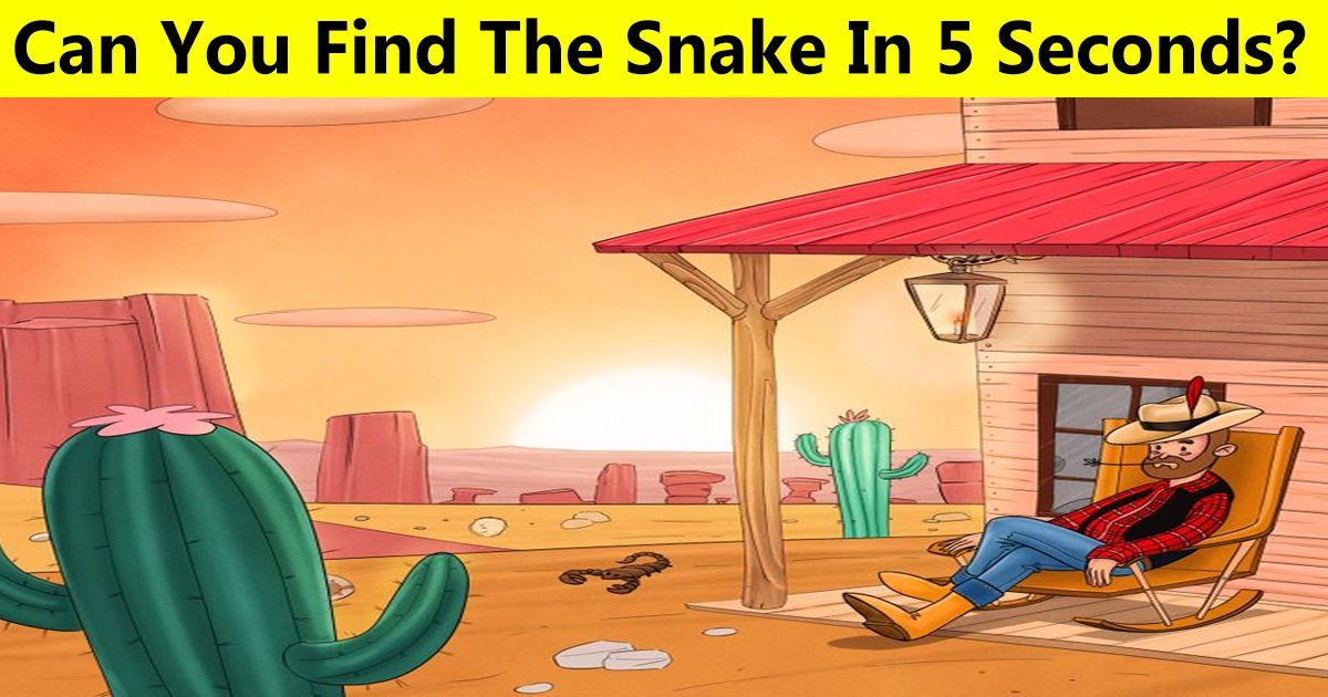48.jpg?resize=1200,630 - Find The Snake In 5 Seconds If You Don't Want The Man To Die In This Desert