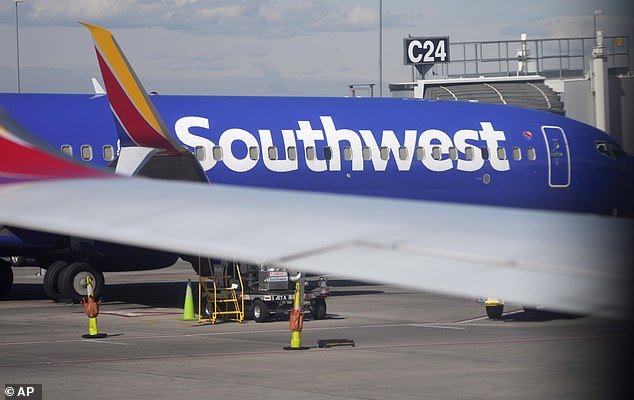 The Southwest staffer, a flight attendant whose identify has not been released, flagged the pair for 