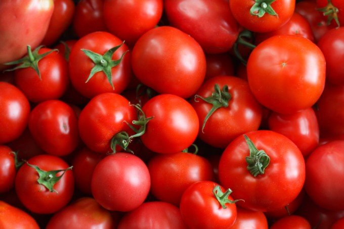 강석기의 과학카페]토마토는 과일이 될 수 있을까? : 동아사이언스