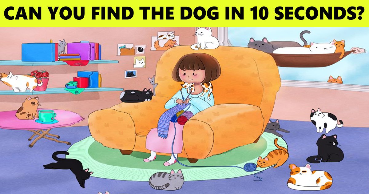 8 1.jpg?fit=1024%2C538&ssl=1&strip=all - The Owner Of 19 Cats Lost Her Dog In Her Childhood! Spot Him And See How He Looked Like