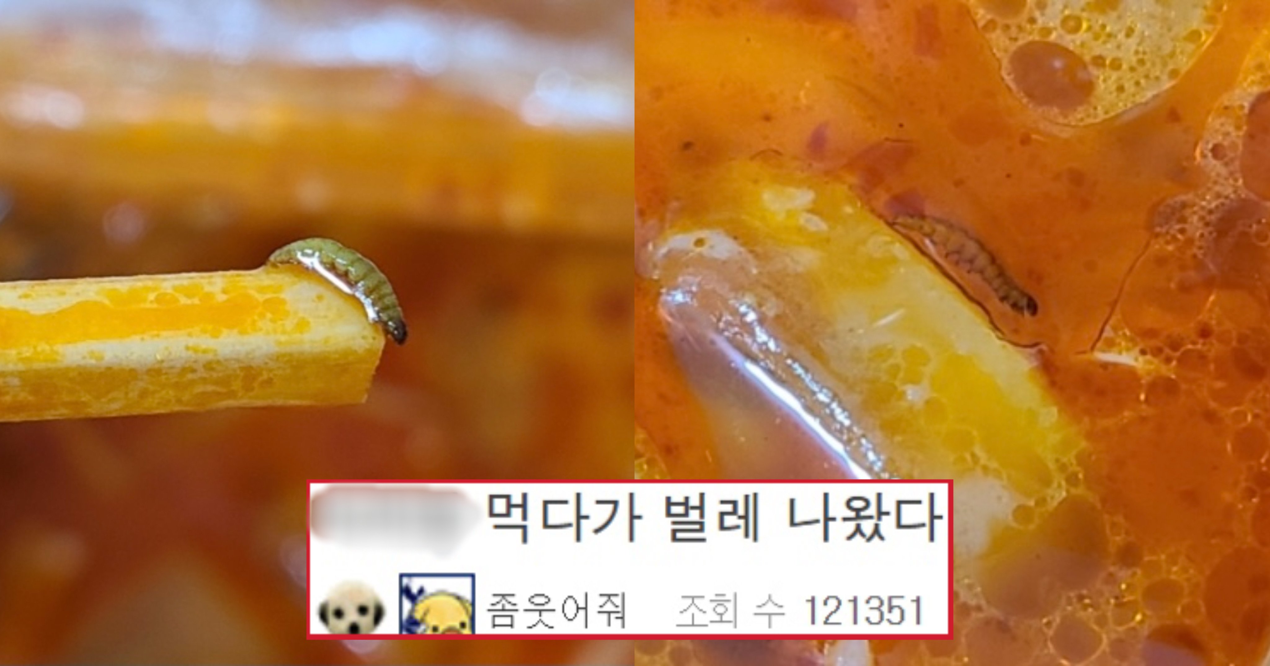cd89e68f 0b75 44b4 b95e eb4668424258.jpeg?resize=412,275 - 유독 '벌레'가 많이 나오는데 사람들이 좋아해서 많이 먹는 음식