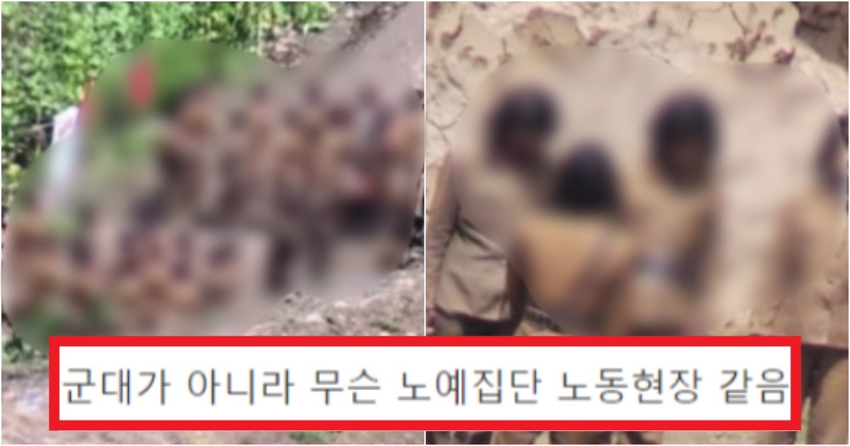 collage 123.jpg?resize=1200,630 - 중국 국경에서 직접 몰래 찍어서 난리 나버린 북한 여군들의 충격적인 실체