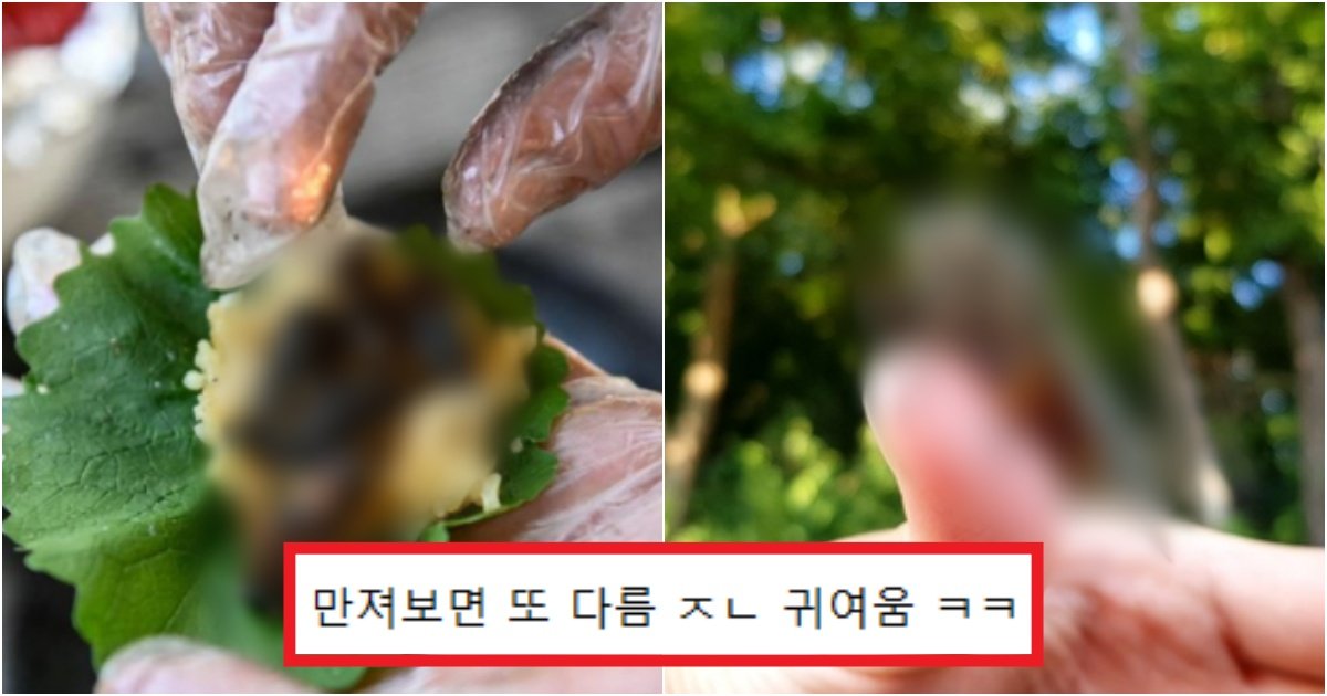 collage 164.jpg?resize=412,275 - 진짜 거짓말 안하고 남녀노소 상관없이 다 공포감을 일으키는 '이 생명체'