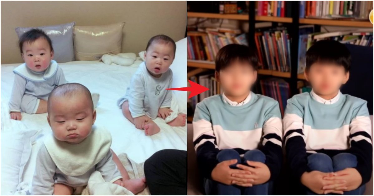 collage 259.jpg?resize=412,275 - "삼둥이 중 민국이만..." 슈돌 공식 유튜브에 뜬 삼둥이 진짜 신기하며 놀라운 이유