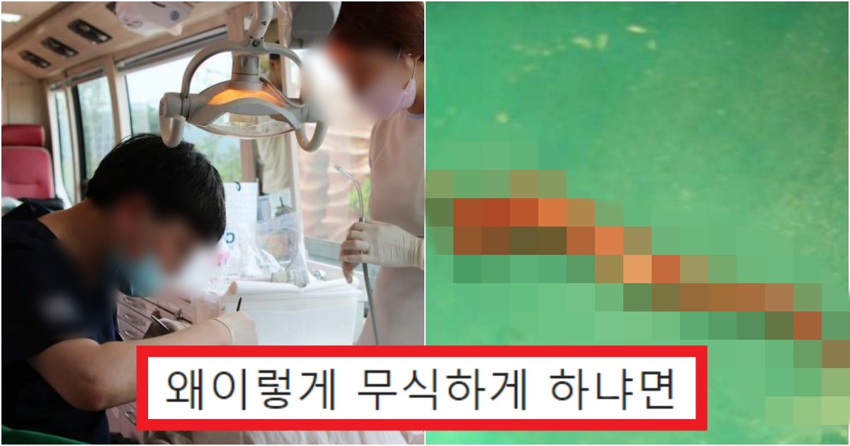 collage 289.jpg?resize=412,275 - 우리가 치과가서 충치 '신경치료' 할 때마다, 미친듯이 통증이 오는 이유