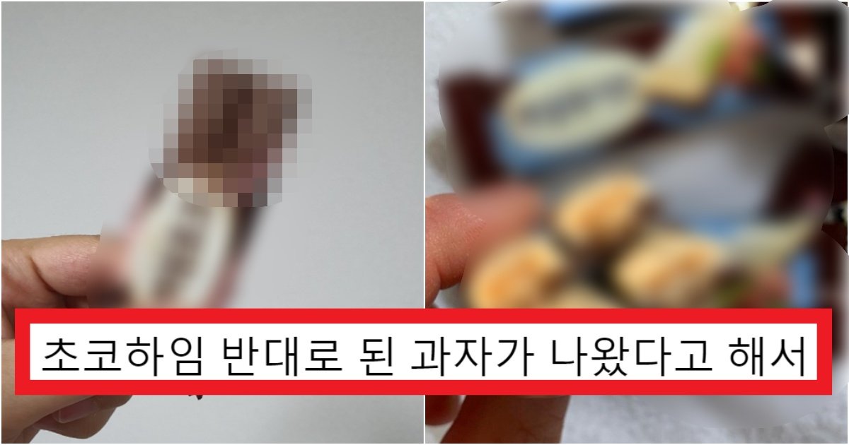 collage 329.jpg?resize=412,275 - "아니 왜 초코하임 이 버전 출시한 거 아무도 몰라???"