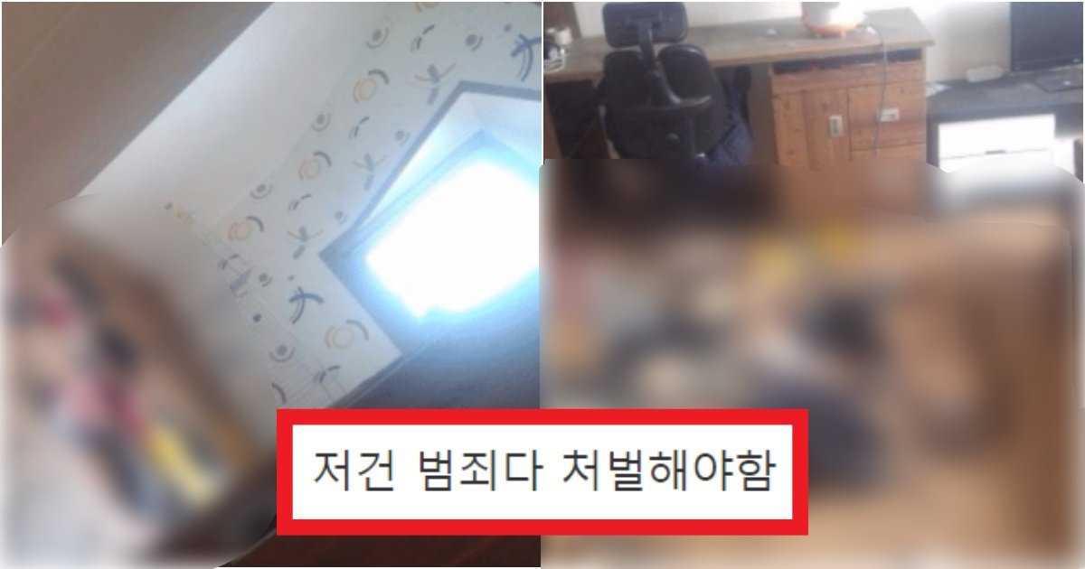 collage 624.jpg?resize=412,275 - '개를 방치'하고 퇴실해버린 원룸 상황과 그 이후 충격적인 상황들(+실제 사진)