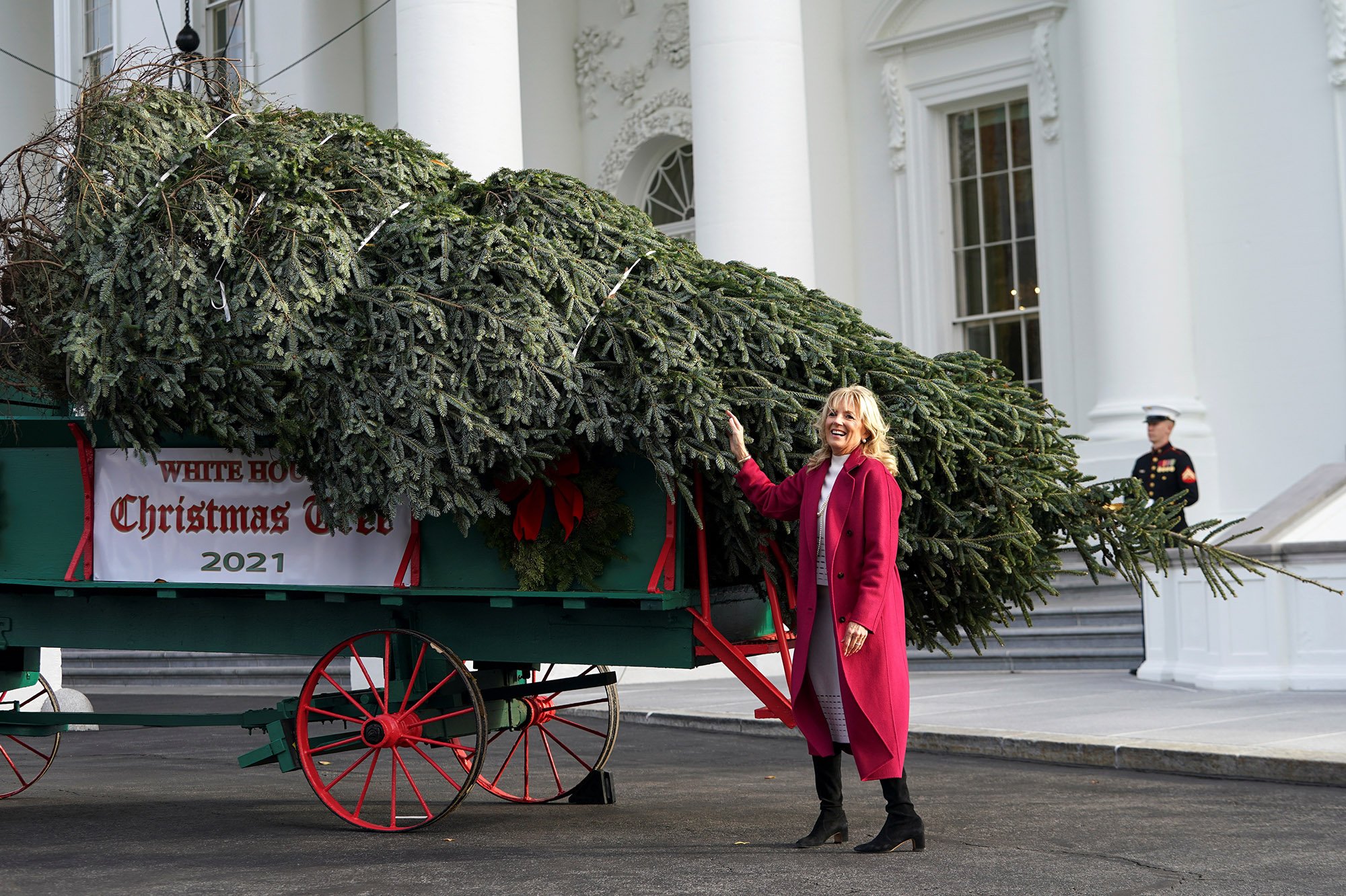 cover 4.jpg?resize=412,275 - The Biden's First White House Christmas Tree Price Has Been Revealed