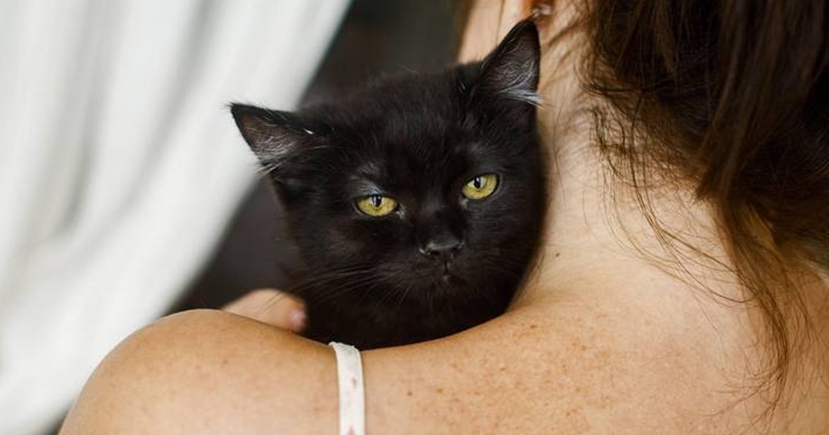 d13.jpg?fit=1024%2C538&ssl=1&strip=all - Frenzy On Delta Airlines Flight As Passenger "Br*astfeeds Cat" On Plane & REFUSED To Stop As Horrified Passengers Looked On