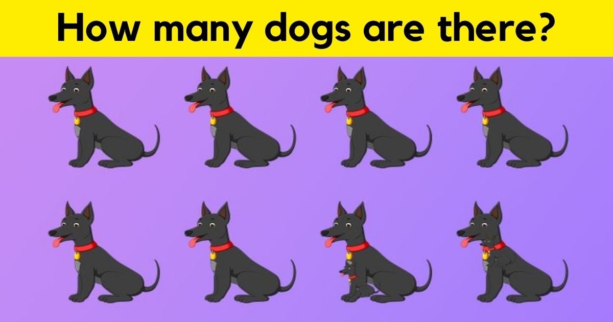 dogs3.jpg?resize=1200,630 - 9 Out Of 10 Viewers Can't Correctly Solve This Picture Puzzle! But Can You Give The Right Answer?