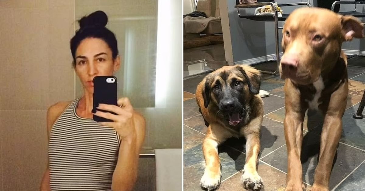 dogs4 1.jpg?resize=412,232 - 48-Year-Old Woman Is Found Dead After Being Mauled By Her Own Two Dogs When She Tried To Break Up A Fight With Neighbor’s Dogs