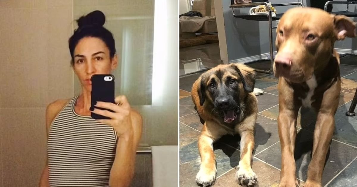 dogs4 1.jpg?fit=1024%2C538&ssl=1&strip=all - 48-Year-Old Woman Is Found Dead After Being Mauled By Her Own Two Dogs When She Tried To Break Up A Fight With Neighbor’s Dogs